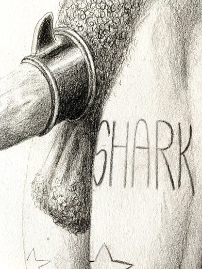 Shark