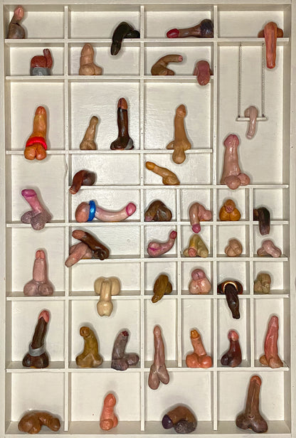 Dickversity #1